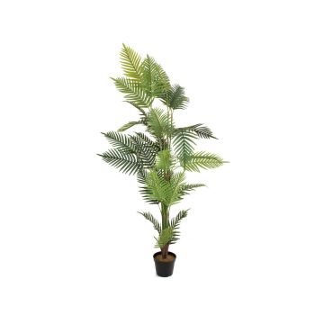 Konstgjord guldfruktpalm EMELINE, 180cm Konstgjord guldfruktpalm EMELINE, 180cm