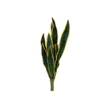 Sansevieria trifasciata CADENCE av plastskum, grön-gul, 60cm Sansevieria trifasciata CADENCE av plastskum, grön-gul, 60cm