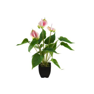Konstgjord anthurium ISABELITA i kruka, rosa-vit-grön, 40cm