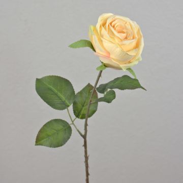 Konstgjord ros FINAKAS, krämgul, 65cm, Ø9cm Konstgjord ros FINAKAS, krämgul, 65cm, Ø9cm