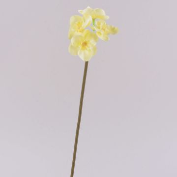Konstgjord narciss SEPUNY, krämgul, 40cm, Ø6cm