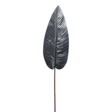Konstgjort blad Strelitzia BATRA, svart, 100cm Konstgjort blad Strelitzia BATRA, svart, 100cm
