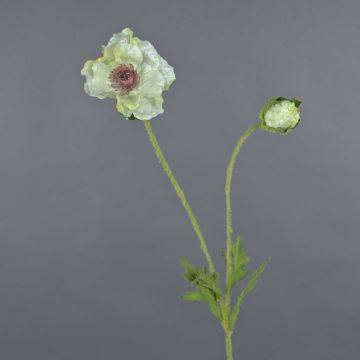 Dekorationsblomma vallmo MESOP, vitgrön, 65cm, Ø9cm Dekorationsblomma vallmo MESOP, vitgrön, 65cm, Ø9cm