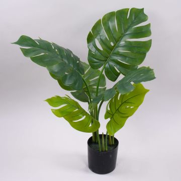 Konstväxt Philodendron monstera deliciosa CUNKYN i dekorativ kruka, 60cm