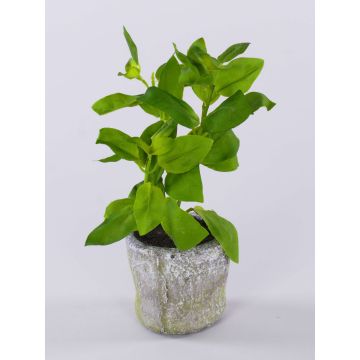 Konstväxt basilika POLINDA i dekorativ kruka, grön, 26cm