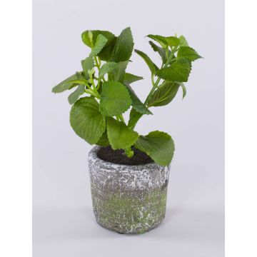 Konstväxt mynta POLINDA i dekorativ kruka, grön, 26cm