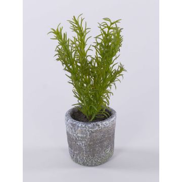 Konstväxt rosmarin POLINDA i dekorativ kruka, grön, 26cm