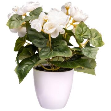 Konstgjord blomma Begonia SYLINA, vit dekorativ kruka, krämfärgad, 25cm Konstgjord blomma Begonia SYLINA, vit dekorativ kruka, krämfärgad, 25cm