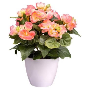 Konstgjord begonia SYLINA, vit dekorativ kruka, rosa, 30cm Konstgjord begonia SYLINA, vit dekorativ kruka, rosa, 30cm