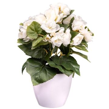 Konstgjord blomma Begonia SYLINA, vit dekorativ kruka, krämfärgad, 30cm Konstgjord blomma Begonia SYLINA, vit dekorativ kruka, krämfärgad, 30cm
