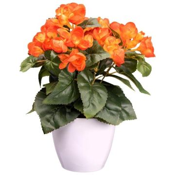 Konstgjord begonia SYLINA, vit dekorativ kruka, orange, 30cm Konstgjord begonia SYLINA, vit dekorativ kruka, orange, 30cm