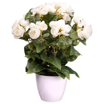 Konstgjord begonia SYLINA, vit dekorativ kruka, krämfärgad, 35cm Konstgjord begonia SYLINA, vit dekorativ kruka, krämfärgad, 35cm