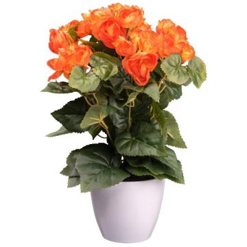 Konstgjord begonia SYLINA, vit dekorativ kruka, orange, 35cm Konstgjord begonia SYLINA, vit dekorativ kruka, orange, 35cm