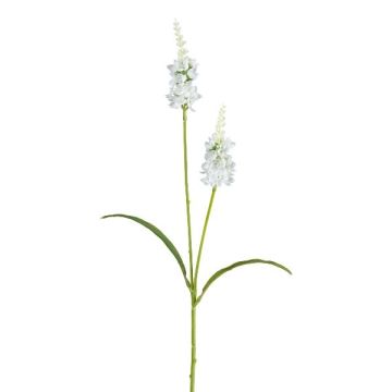 Konstgjord salvia-kvist LOHFER, vit, 65cm
