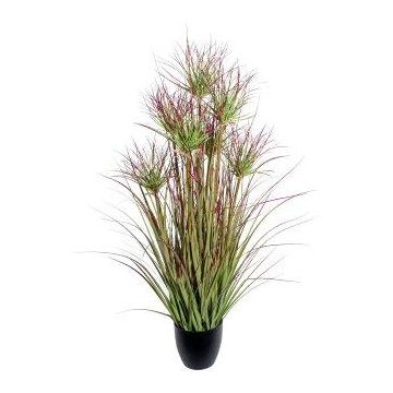 Dekorativt gräs, papyrusväxt DARSA i dekorativ kruka, grön-röd, 95cm