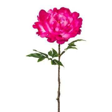 Konstblomma, pion GLOUT, cerise, 65cm Konstblomma, pion GLOUT, cerise, 65cm