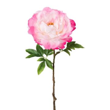 Konstblomma, pion GLOUT, rosa, 65cm