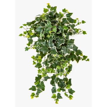 Konstgjord murgröna LINNEO på stödpinne, crossdoor, grön-vit, 65cm