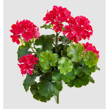 Konstblomma pelargon OTTAVIA på stativ, crossdoor, cerise, 40cm Konstblomma pelargon OTTAVIA på stativ, crossdoor, cerise, 40cm