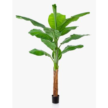 Konstgjord bananträd OMERA, 200cm Konstgjord bananträd OMERA, 200cm