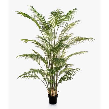 Konstgjord arecapalm LUVA, 205cm