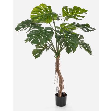 Konstväxt Philodendron Monstera Deliciosa IDALINA, rötter, 130cm Konstväxt Philodendron Monstera Deliciosa IDALINA, rötter, 130cm