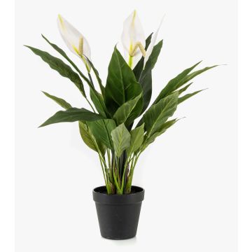 Konstgjord enblad RANIESO, dekorativ kruka, blommor, vit, 55cm Konstgjord enblad RANIESO, dekorativ kruka, blommor, vit, 55cm