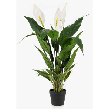 Konstgjord enbladig växt RANIESO, dekorativ kruka, blommor, vit, 90cm Konstgjord enbladig växt RANIESO, dekorativ kruka, blommor, vit, 90cm