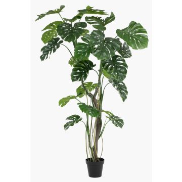 Konstväxt Philodendron monstera deliciosa TANIESO, konststam, luftrötter, 210cm Konstväxt Philodendron monstera deliciosa TANIESO, konststam, luftrötter, 210cm