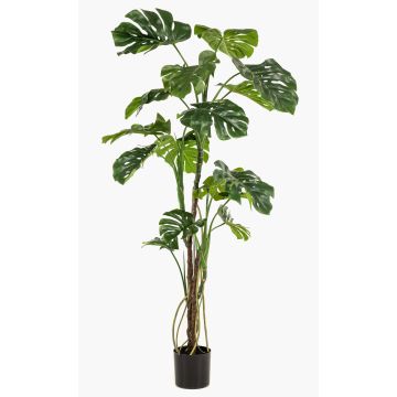 Konstväxt Philodendron monstera deliciosa TANIESO, konststam, luftrötter, 180cm