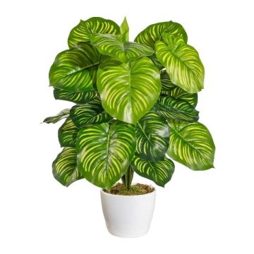 Konstgjord växt Calathea Orbifolia BLAHEN, keramikkruka, grön, 50cm