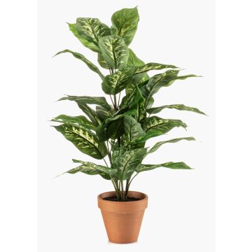 Konstgjord växt Dieffenbachia ELSAWA i terrakottakruka, grön, 65cm