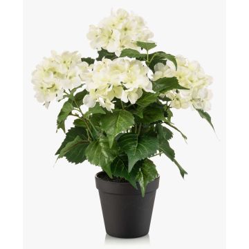 Konstgjord hortensia DORJA i dekorativ kruka, vit-grön, 40cm Konstgjord hortensia DORJA i dekorativ kruka, vit-grön, 40cm