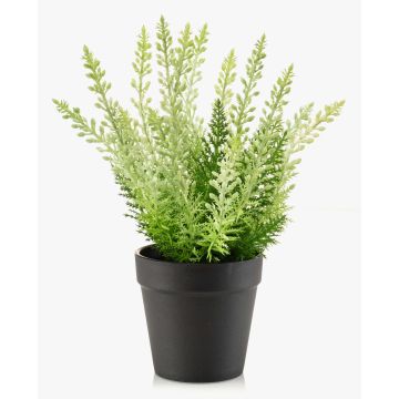 Konstgjord ljung ELSAWO i dekorativ kruka, crossdoor, vit-grön, 30cm
