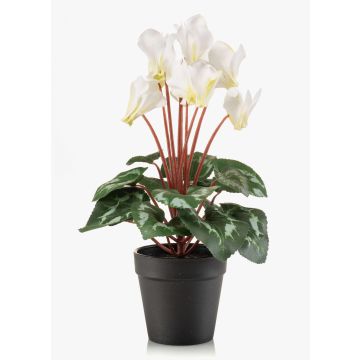 Konstgjord alpenviol VERIANA i dekorativ kruka, vit-grön, 30cm Konstgjord alpenviol VERIANA i dekorativ kruka, vit-grön, 30cm