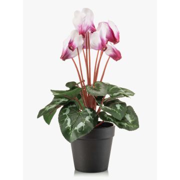Konstgjord alpenviol VERIANA i dekorativ kruka, vit-cerise, 30cm Konstgjord alpenviol VERIANA i dekorativ kruka, vit-cerise, 30cm