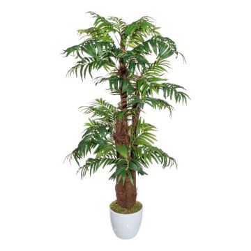 Plastpalm Areca JANLO i keramikkruka, 150cm Plastpalm Areca JANLO i keramikkruka, 150cm