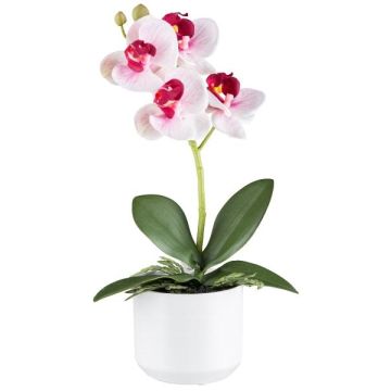 Textil-phalaenopsisorkidé WERKAN, keramikkruka, rötter, vit-cerise, 27cm Textil-phalaenopsisorkidé WERKAN, keramikkruka, rötter, vit-cerise, 27cm