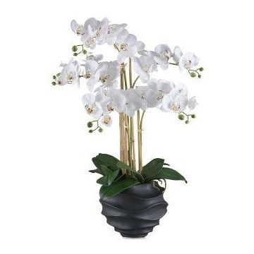 Konstgjord Phalaenopsis-orkidé STONFER, dekorativ kruka svart, rötter, vit, 70cm