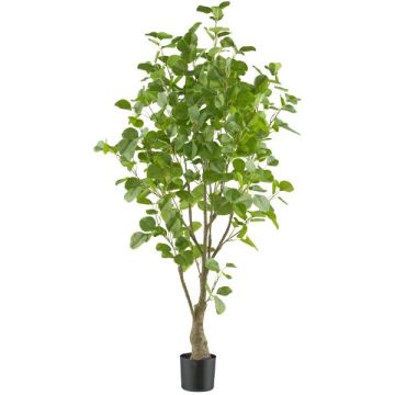 Dekorationsträd Eukalyptus MERNAS, konstgjord stam, grön, 130cm