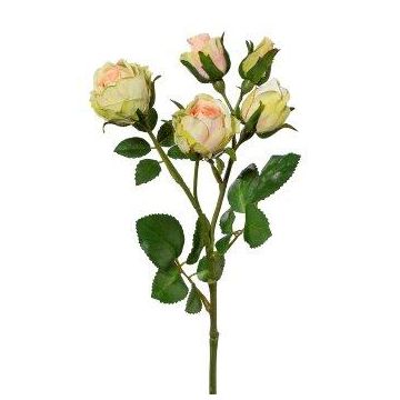 Konstgjord rosenkvist SKURN, grön-aprikos, 40cm, Ø2-4,5cm