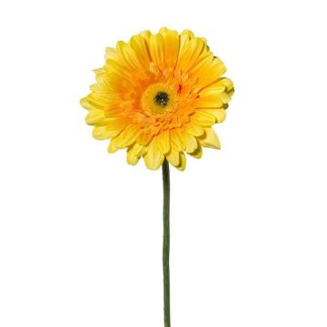 Dekorationsblomma Gerbera VORNEK, gul, 65cm
