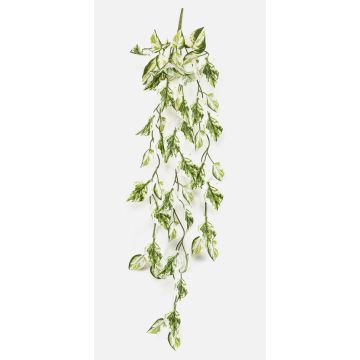 Konstgjord hängväxt Scindapsus LAXORE på stödpinne, vit-grön, 85cm