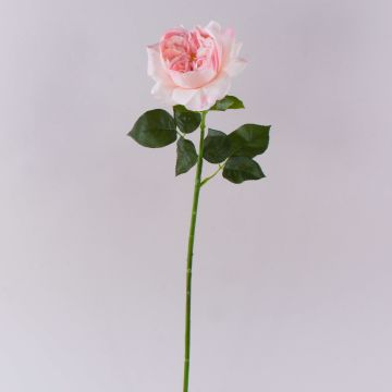 Konstgjord ros GINAKAL, ljusrosa, 65cm Konstgjord ros GINAKAL, ljusrosa, 65cm