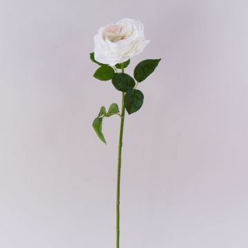 Konstgjord ros GINAKAL, krämvit, 65cm Konstgjord ros GINAKAL, krämvit, 65cm