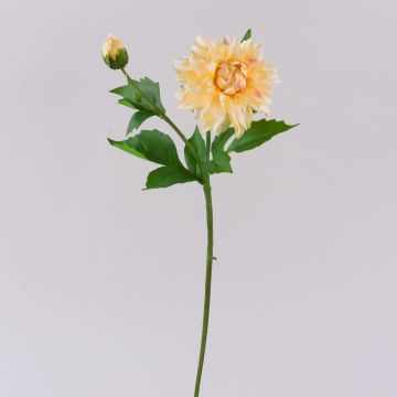 Konstblomma, dahlia WERNYT, kräm-aprikos, 45cm, Ø10cm Konstblomma, dahlia WERNYT, kräm-aprikos, 45cm, Ø10cm