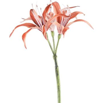 Konstblomma hymenocallis GRISTEN, kanel, 85cm Konstblomma hymenocallis GRISTEN, kanel, 85cm