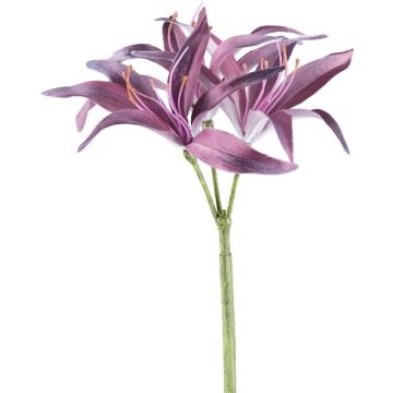 Konstblomma hymenocallis GRISTEN, lila, 85cm Konstblomma hymenocallis GRISTEN, lila, 85cm