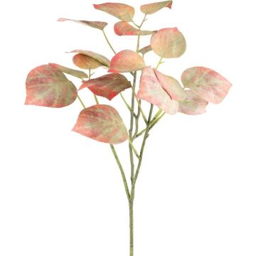Dekorativ gren svartpoppel SOLVEN, röd-grön, 60cm
