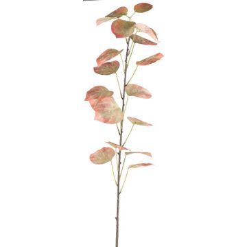 Dekorativ gren svartpoppel SOLVEN, rödgrön, 120cm